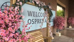 Osprey Hotel continue Punchestown Festival partnership and lively entertainment programme