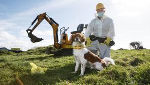 Dogs Trust launches its annual ‘The Big Scoop’ dog fouling awareness campaign