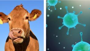 Glanbia issue new guidelines so produce production is not affected during Covid-19