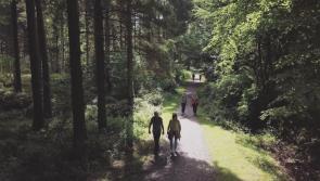 Huge influx of visitors sees closure of Blessington Greenway