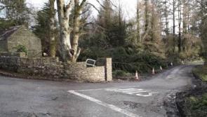 Cllr welcomes road markings at dangerous rural road junction in South Kildare 