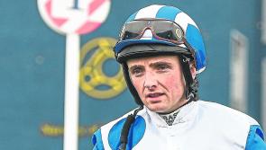 Racing: top jockey Chris Hayes in the Questions and Answers hot seat