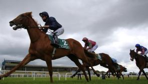 Harrington chalks up two more wins
