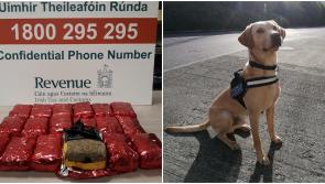 Detector Dog Bailey aids in the seizure of over €470,000 worth of drugs and alcohol