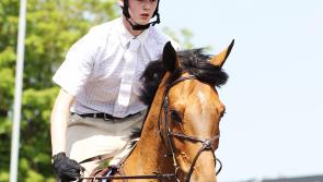 Equestrian boost:  Grand Prix returns to Kildare this weekend