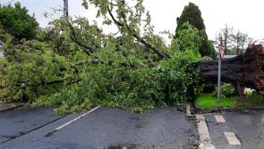 Kildare remains under Weather Warning with tail end of Storm Barra still causing impact