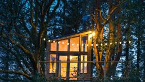 AMAZING: Give your friends staycation envy with this stunning treetop retreat