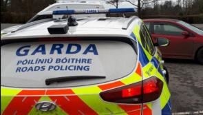 Novice driver 'out for a spin' arrested after failing drug test and passenger fined 