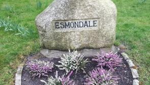Flooding in Naas estate