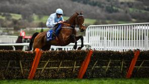 ALL THE CHELTENHAM RESULTS FOR DAY 1 OF THE 2021 FESTIVAL