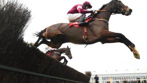 AINTREE GRAND NATIONAL TIPS - Three horses to back in the Grand National