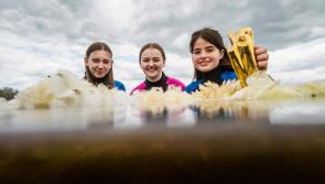 Kildare students encouraged to enter BT Young Scientist & Technology Exhibition 2022