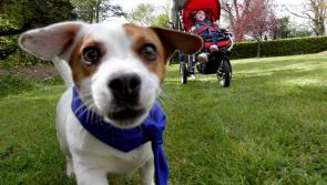 Public urged to get walking as carers'  hardship fund runs out