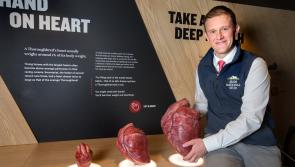 FIRST LOOK: Inside Kildare's new multi-million Irish Racehorse Experience attraction at the Irish National Stud
