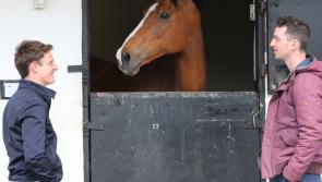Faugheen joins the ‘Living Legends’ Team at the Irish National Stud