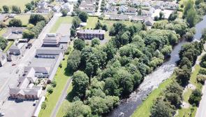 Newbridge Monastery and Kildare town Convent should be used to house Ukrainian refugees,  Senator says