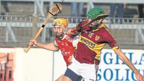 Kildare GAA: SHC weekend results