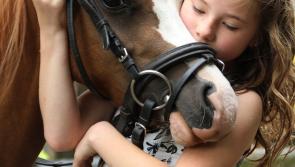 Therapeutic farm seeks permission to open facility in Kildare