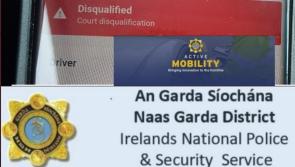 Kildare garda officers stop disqualified drunk driver 