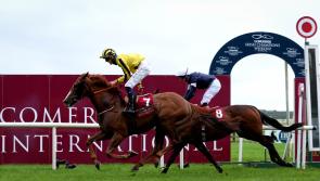 GALLERY: Fashion and great racing reigned supreme on Longines Irish Champions Day at the Curragh Racecourse 