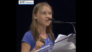 Kildare Greens praise Irish youth's climate awareness; tout Greta Thunberg as positive influence