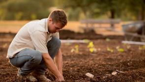 Young farmers group wants extra €310m on top of multi-billion euro CAP budget