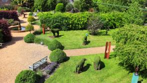 €1million in funding allocated to 65 sensory garden projects for people with disabilities