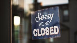 Dead mice and rodent faeces among reasons for closure of food businesses