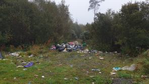'Whoever is doing it knows they can get away with it:' Political party rep hits out at illegal dumping at Kildare site
