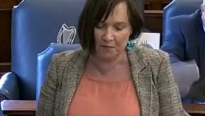 Kildare Senator welcomes news of 3,000 additional work permits being delivered
