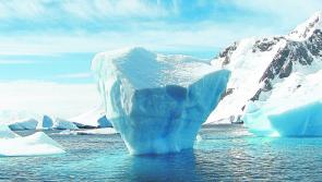 Making Cents: Watch out - iceberg costs ahead!