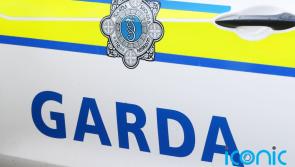 Man arrested for murder of Sinn F&eacute;in councillor 30 years ago released without charge