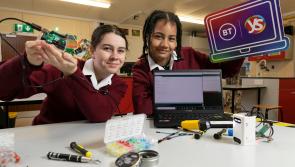 UPDATED - Recycling, fake news and dog behaviour: Meet Kildare's Young Scientists 2022