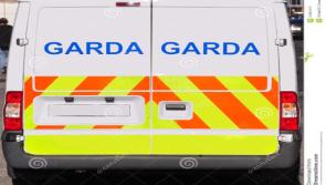 Quad vehicle stolen near Naas