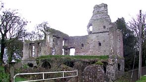Kildare castle could become a tourist attraction