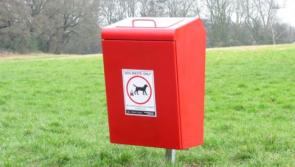 Calls for Council to draw up analysis plan for rubbish and dog waste bins along walking routes in Kilcock and Maynooth