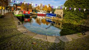 Community garden call for Naas, Kildare