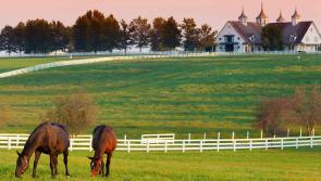 Deadline for Kildare-Lexington Student exchange applications is today at 5pm
