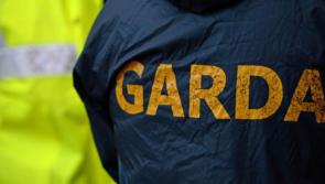 WARNING: Gardai search for escaped prisoner