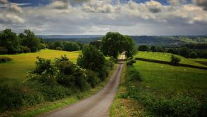 'Local connectivity is vital' - Humphreys announces €11m funding to repair rural roads
