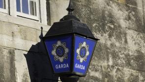UPDATE: Man in his 30s arrested in connection to fatal assault in Newbridge, County Kildare