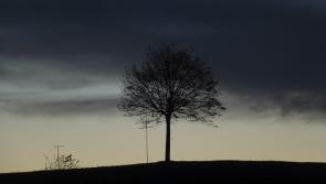 Mostly dry night ahead with chance of misty patches developing for Co Kildare