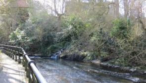 Kildare TD says she has written to the EPA to investigate pollution at Rye River