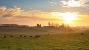 A dry, mild night ahead for Co Kildare
