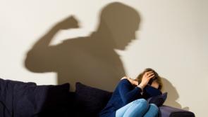 Kildare TD calls for progression on legislation for domestic homicide reviews