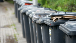 NEWS BRIEF: Cllr unhappy with ‘inequities’ for bin services in North Kildare region