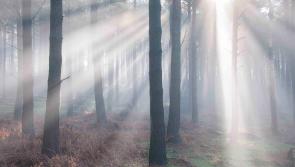 Mist and fog expected for some parts of Co Kildare tonight