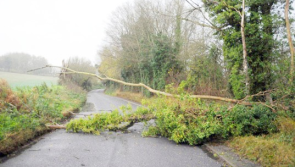 Met &Eacute;ireann warns motorists of possible downed trees as Status Yellow wind alert issued