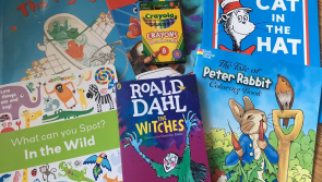Over 3,000 children in Dublin, Kildare and Wicklow received free books through SVP WordPower project last year

