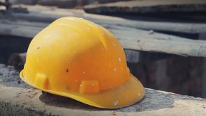 Building Boom: Kildare senator says grants should rise in line with material costs